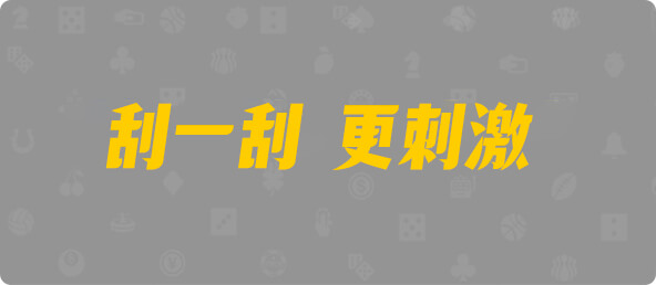 加拿大28,组合,查询,数据,结果
